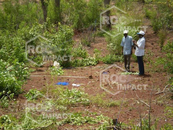 Complete crushing plant for the Fibromat company in Mali
