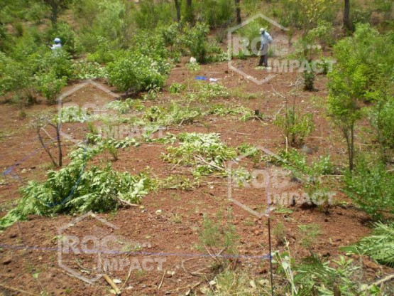 Complete crushing plant for the Fibromat company in Mali